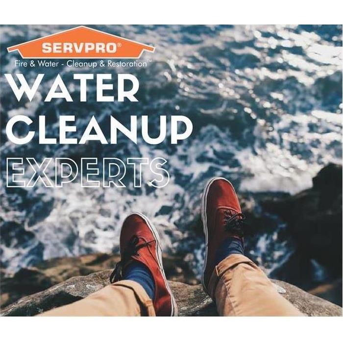 Water cleanup expert