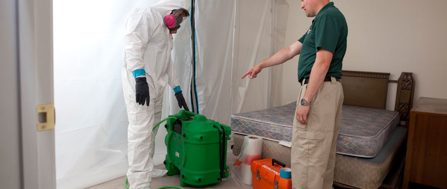 Beverly, MA mold removal process
